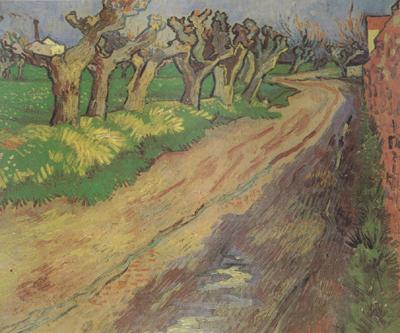 Vincent Van Gogh Pollard Willows (nn04) Spain oil painting art